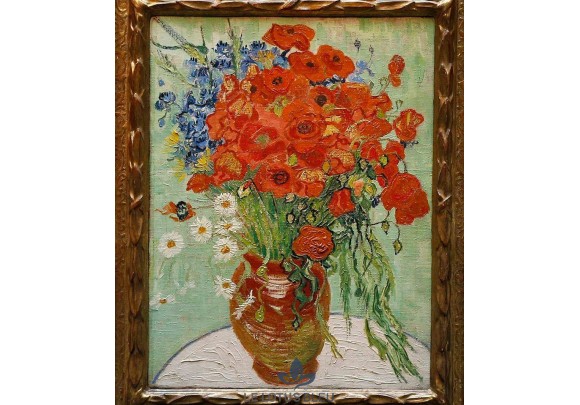 Poppy and Daisy in vase